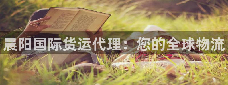 尊龙凯时充值不到账：晨阳国际货运代理：您的全球物流