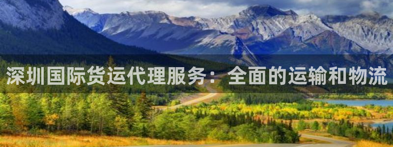 尊龙凯时 人生就是搏 平台：深圳国际货运代理服务：全面的