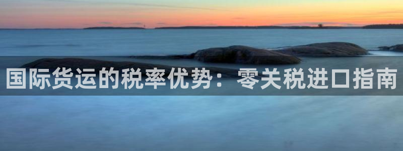 尊龙集团：国际货运的税率优势：零关税进口指南