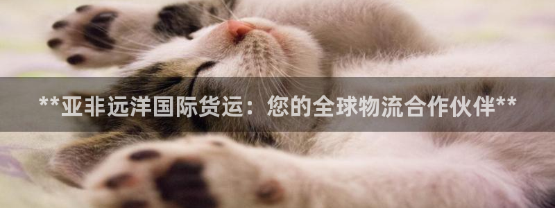 尊龙凯时人生就是搏!官网：**亚非远洋国际货运：您的全球