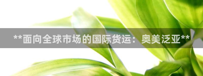 尊龙凯时怎么注销账号：**面向全球市场的国际货运：奥美泛