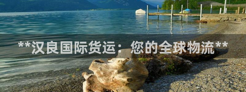 尊龙人生就是博：**汉良国际货运：您的全球物流**