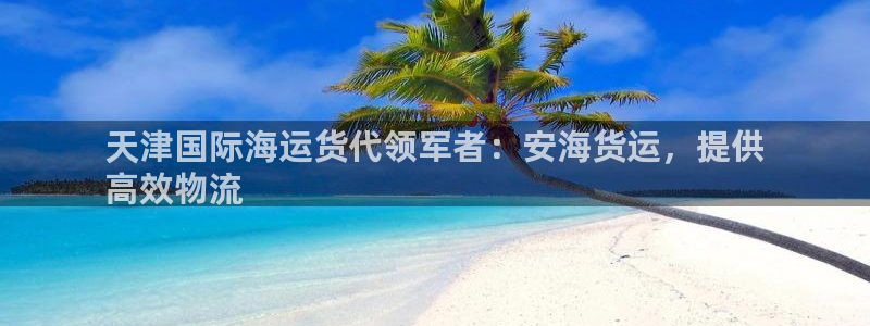尊龙ag：天津国际海运货代领军者：安海货运，提供
高效物