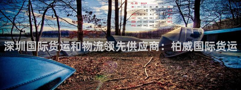 尊龙集团有限公司：深圳国际货运和物流领先供应商：柏威国际