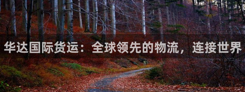 尊龙ag：华达国际货运：全球领先的物流，连接世界