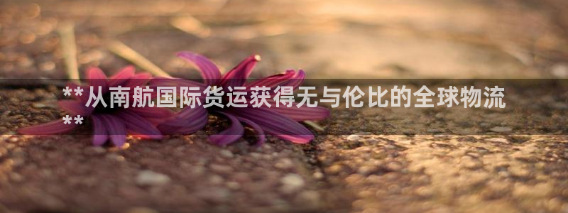 尊龙旗舰厅：**从南航国际货运获得无与伦比的全球物流
*