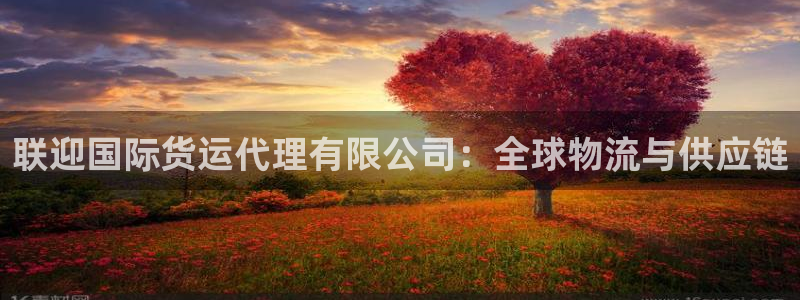 尊龙凯时人生就是搏平台：联迎国际货运代理有限公司：全球物