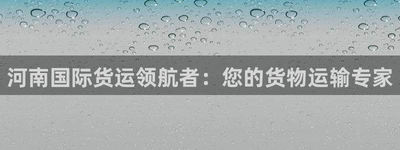 尊龙新版app：河南国际货运领航者：您的货物运输专家