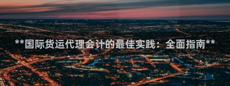 尊龙电子：**国际货运代理会计的最佳实践：全面指南**