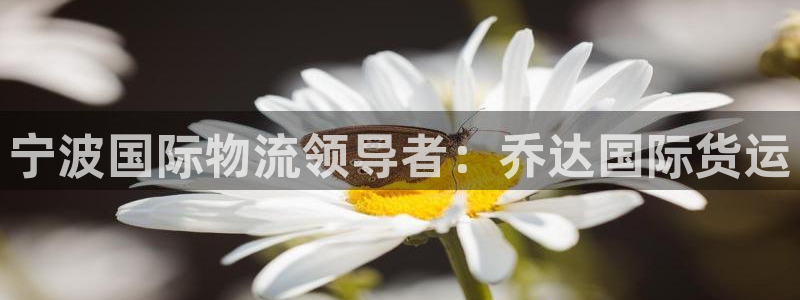 尊龙官方平台是正品吗：宁波国际物流领导者：乔达国际货运