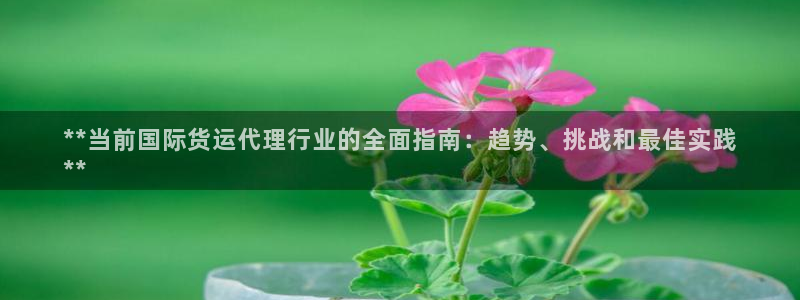 尊龙凯时提现不了：**当前国际货运代理行业的全面指南：趋