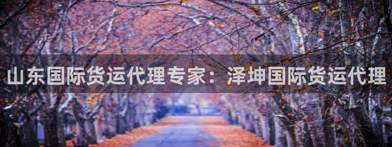 尊龙凯时注册：山东国际货运代理专家：泽坤国际货运代理