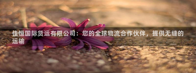 尊龙人生就是博登录：佳恒国际货运有限公司：您的全球物流合