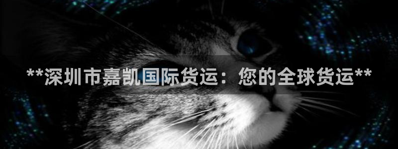 尊龙am i blue：**深圳市嘉凯国际货运：您的全球