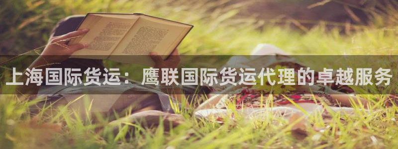 尊龙凯时ag旗舰厅官方网站：上海国际货运：鹰联国际货运代