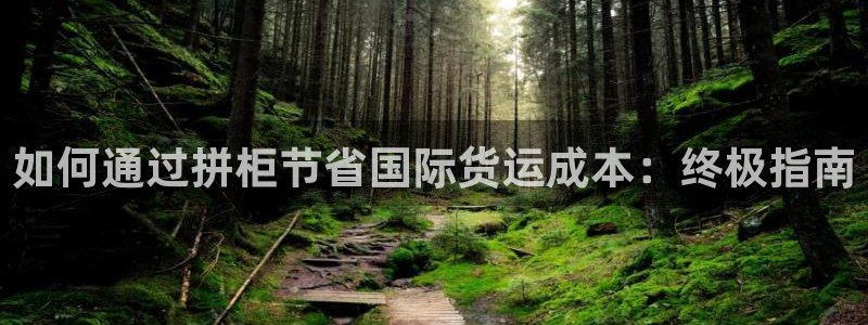 尊龙凯时正规吗：如何通过拼柜节省国际货运成本：终极指南