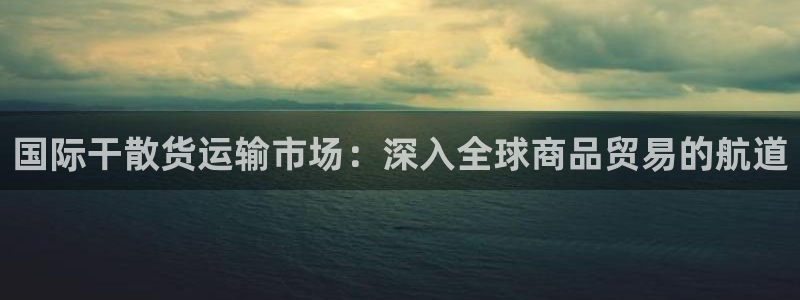 尊龙-人生就是博：国际干散货运输市场：深入全球商品贸易的