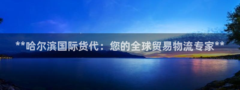 尊龙目前情况：**哈尔滨国际货代：您的全球贸易物流专家*
