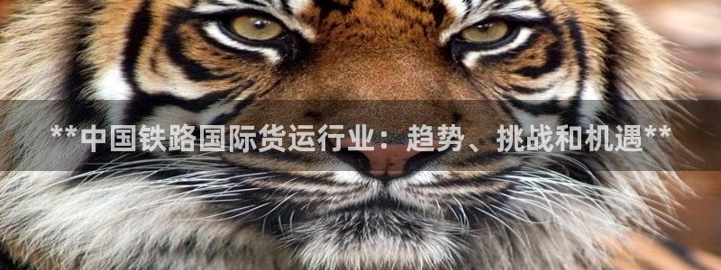 尊龙棋牌老板是谁：**中国铁路国际货运行业：趋势、挑战和