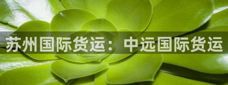 尊龙凯时官方网站下载：苏州国际货运：中远国际货运