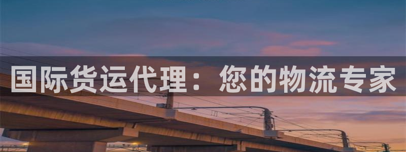 尊龙游戏官方网：国际货运代理：您的物流专家