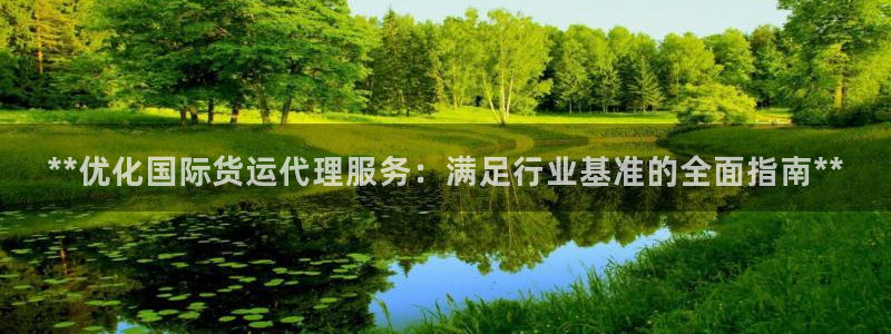 尊龙凯时处理未到账：**优化国际货运代理服务：满足行业基