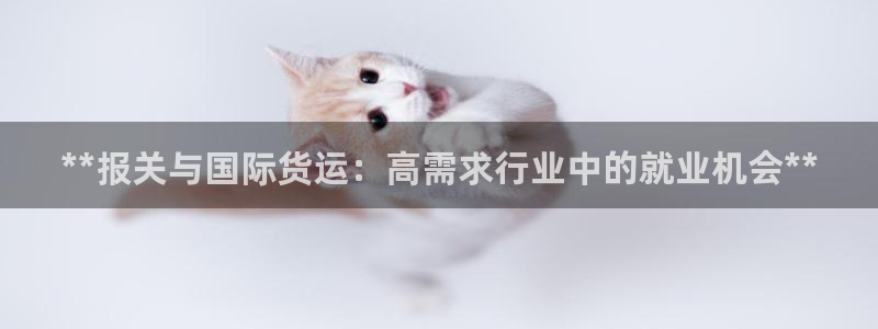 尊龙新版手机app下载：**报关与国际货运：高需求行业中