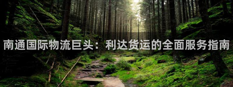 尊龙/人生就是博：南通国际物流巨头：利达货运的全面服务指
