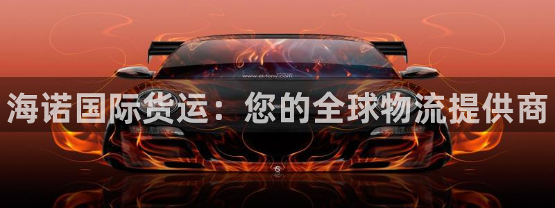 尊龙凯时代理：海诺国际货运：您的全球物流提供商