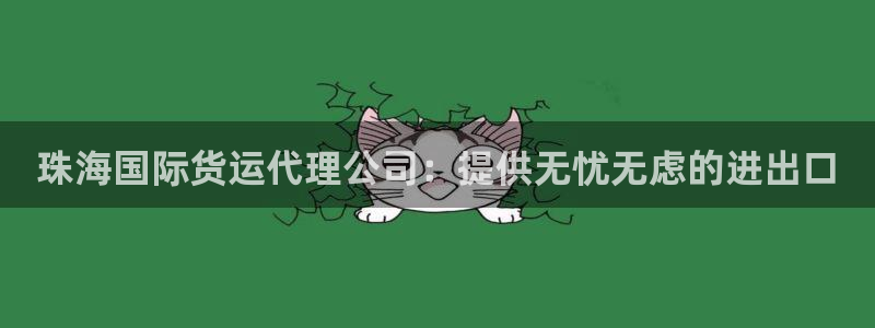 尊龙t500和t300区别：珠海国际货运代理公司：提供无