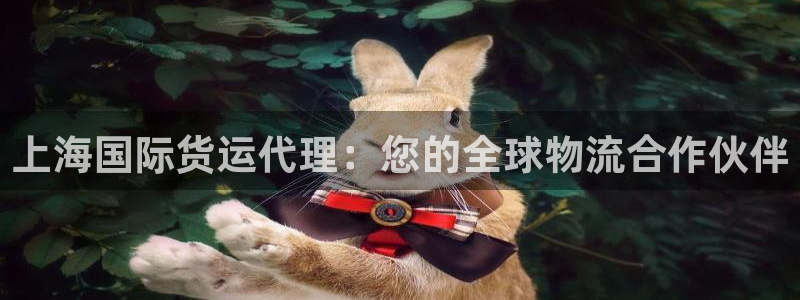 尊龙棋牌旗舰店：上海国际货运代理：您的全球物流合作伙伴