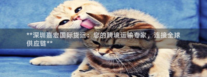 尊龙凯时登陆：**深圳嘉宏国际货运：您的跨境运输专家，连