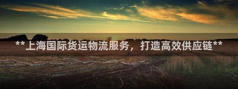 尊龙人生就是博网站下载：**上海国际货运物流服务，打造高
