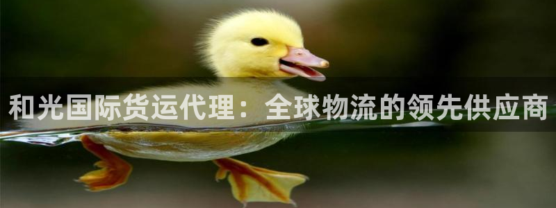 尊龙凯时有限公司：和光国际货运代理：全球物流的领先供应商