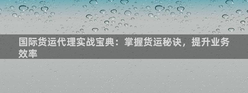 尊龙AG发财网：国际货运代理实战宝典：掌握货运秘诀，提升