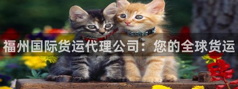 尊龙 国外：福州国际货运代理公司：您的全球货运
