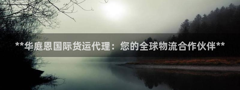 尊龙人生就是博登陆：**华庭恩国际货运代理：您的全球物流