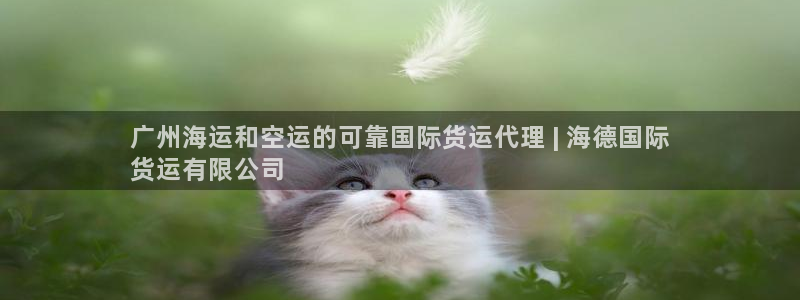 尊龙凯时麻将胡了：广州海运和空运的可靠国际货运代理 | 