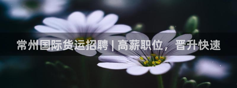 尊龙凯时网站赌愽是真的吗：常州国际货运招聘 | 高薪职位