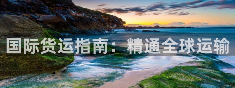 尊龙人生就是博：国际货运指南：精通全球运输