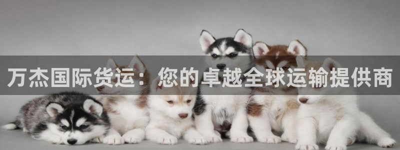 z6com尊龙：万杰国际货运：您的卓越全球运输提供商