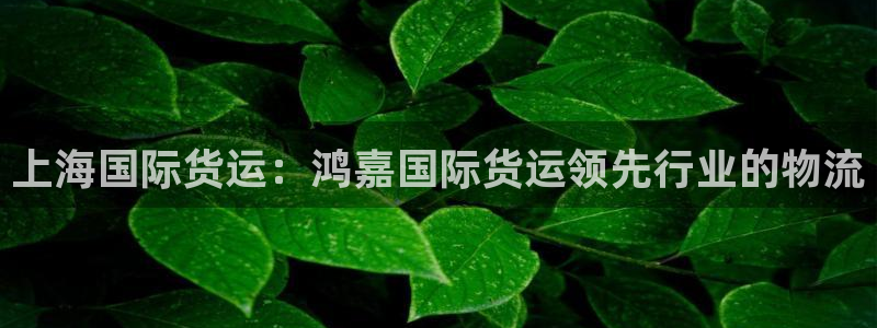 尊龙凯时城游戏官网：上海国际货运：鸿嘉国际货运领先行业的