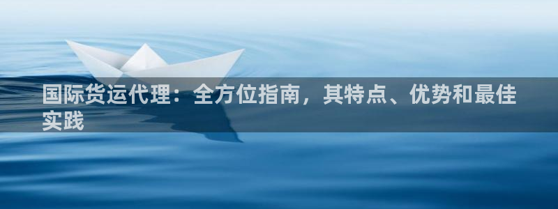 尊龙凯时几百万怎么下：国际货运代理：全方位指南，其特点、