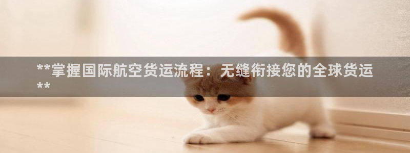 尊龙 国外：**掌握国际航空货运流程：无缝衔接您的全球货