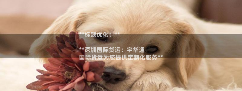 尊龙人生就是一博!：**标题优化：**

**深圳国际货