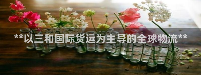 尊龙目前照片：**以三和国际货运为主导的全球物流**