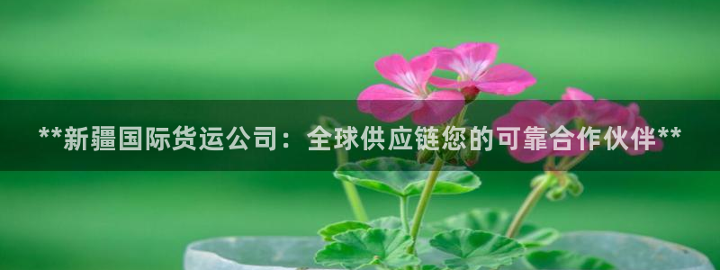 尊龙凯时 - 人生就是搏手机登录：**新疆国际货运公司：
