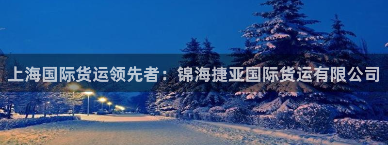 尊龙会ktv价格：上海国际货运领先者：锦海捷亚国际货运有