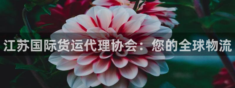 尊龙ag旗舰官网：江苏国际货运代理协会：您的全球物流