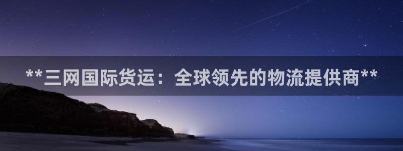尊龙凯时vip：**三网国际货运：全球领先的物流提供商*